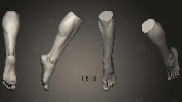 Male Foot 2 3d stl модель для ЧПУ